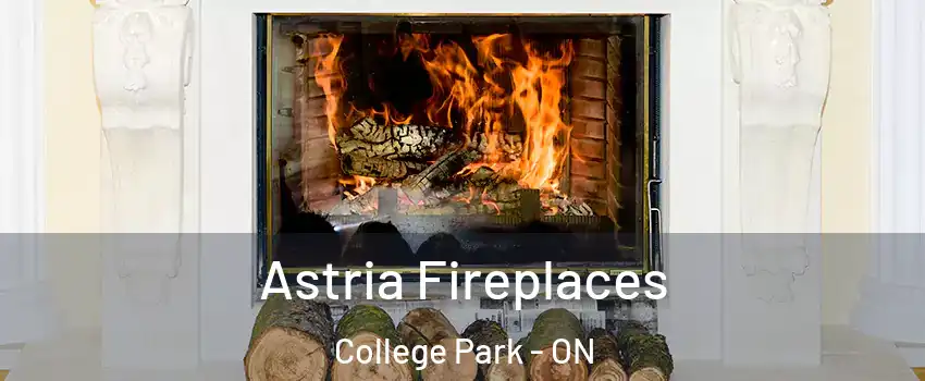  Astria Fireplaces College Park - ON