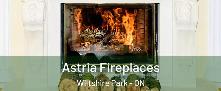  Astria Fireplaces Wiltshire Park - ON