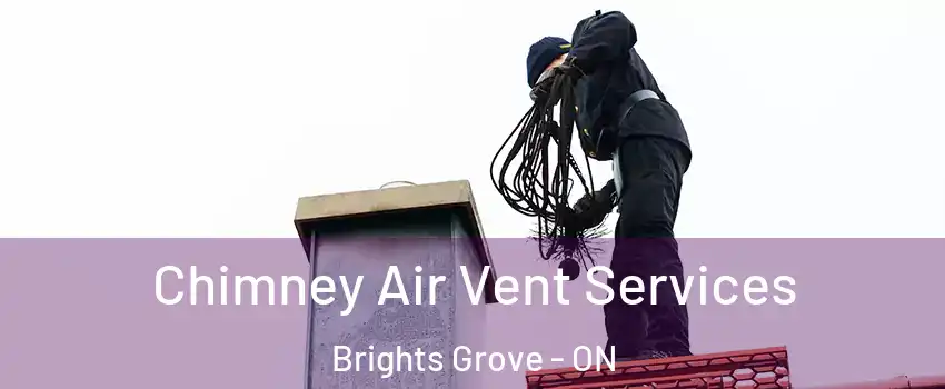  Chimney Air Vent Services Brights Grove - ON