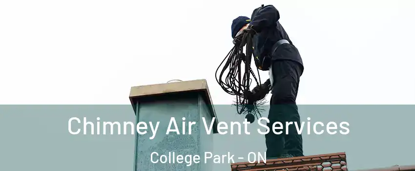  Chimney Air Vent Services College Park - ON