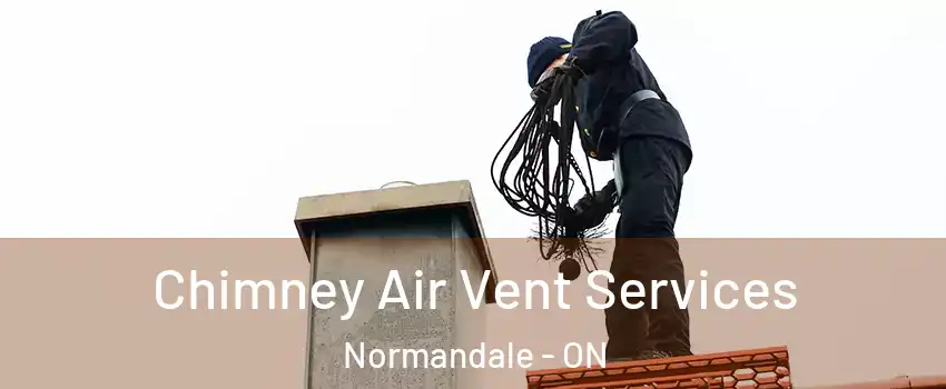  Chimney Air Vent Services Normandale - ON