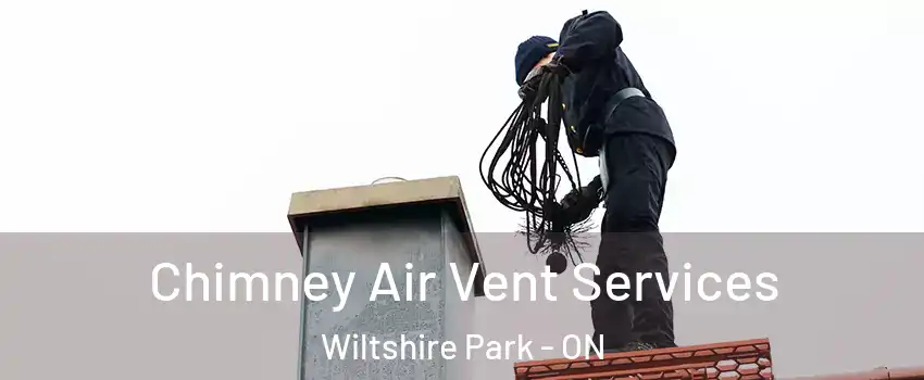  Chimney Air Vent Services Wiltshire Park - ON