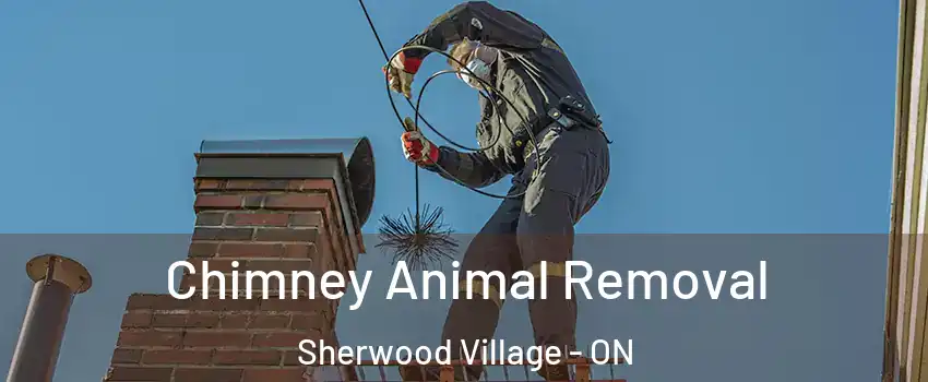  Chimney Animal Removal Sherwood Village - ON