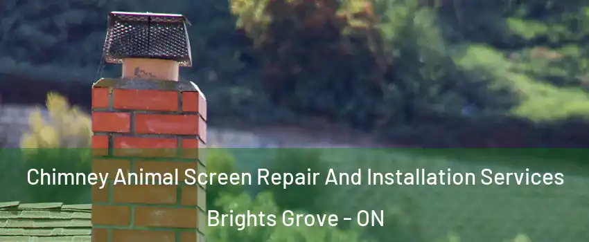  Chimney Animal Screen Repair And Installation Services Brights Grove - ON