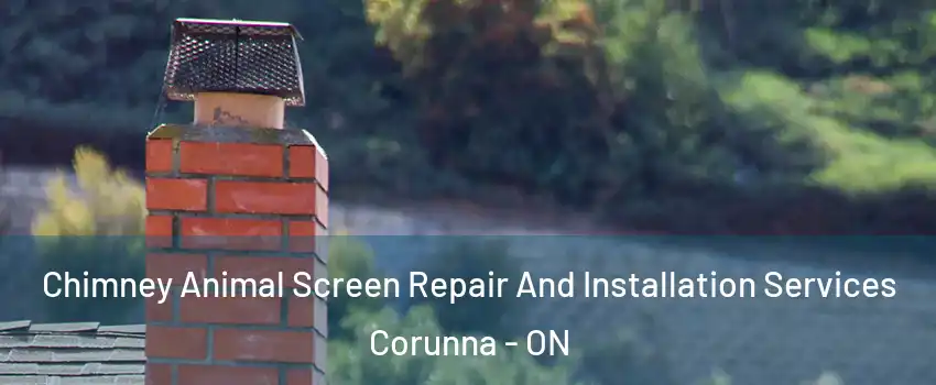  Chimney Animal Screen Repair And Installation Services Corunna - ON