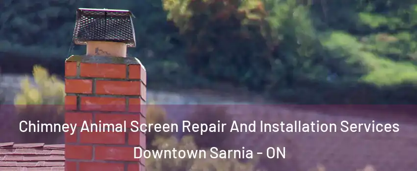  Chimney Animal Screen Repair And Installation Services Downtown Sarnia - ON