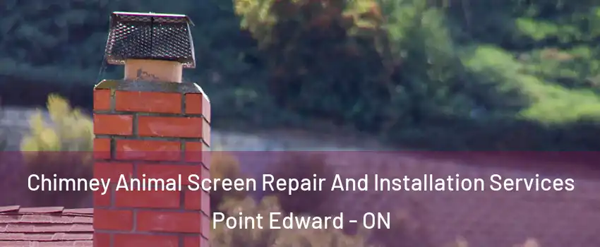  Chimney Animal Screen Repair And Installation Services Point Edward - ON