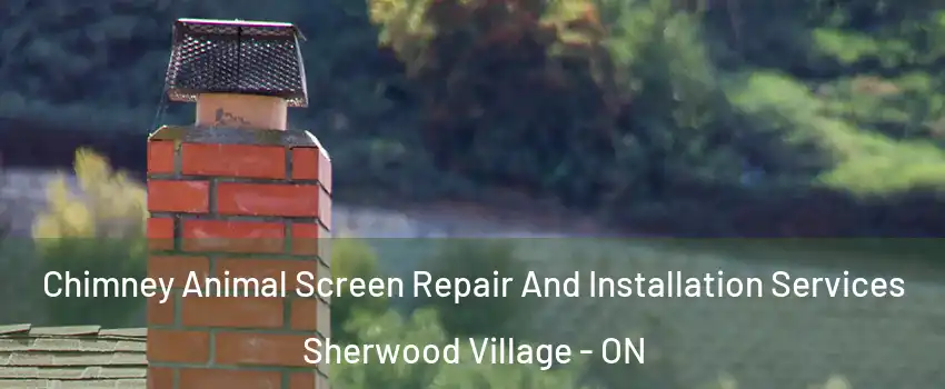  Chimney Animal Screen Repair And Installation Services Sherwood Village - ON