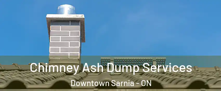 Chimney Ash Dump Services Downtown Sarnia - ON