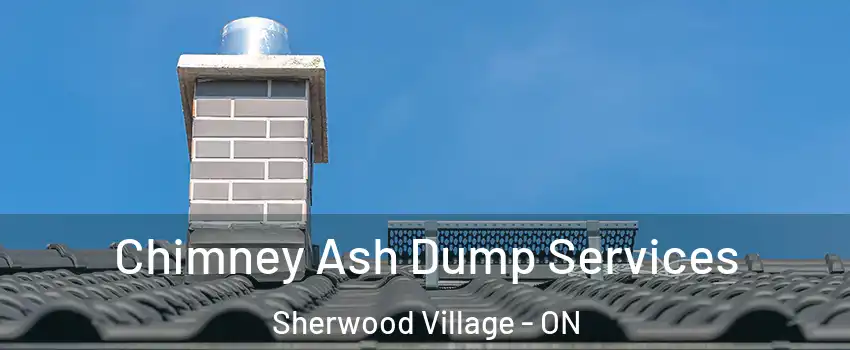  Chimney Ash Dump Services Sherwood Village - ON