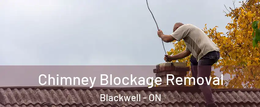  Chimney Blockage Removal Blackwell - ON