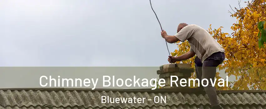  Chimney Blockage Removal Bluewater - ON