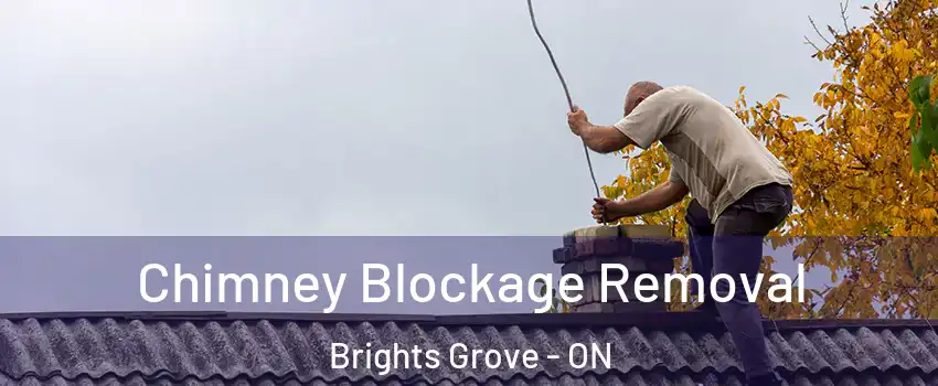  Chimney Blockage Removal Brights Grove - ON