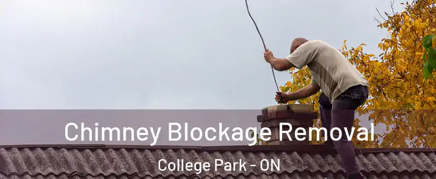  Chimney Blockage Removal College Park - ON