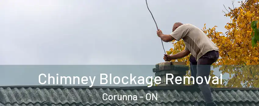  Chimney Blockage Removal Corunna - ON