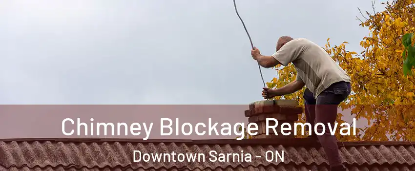  Chimney Blockage Removal Downtown Sarnia - ON