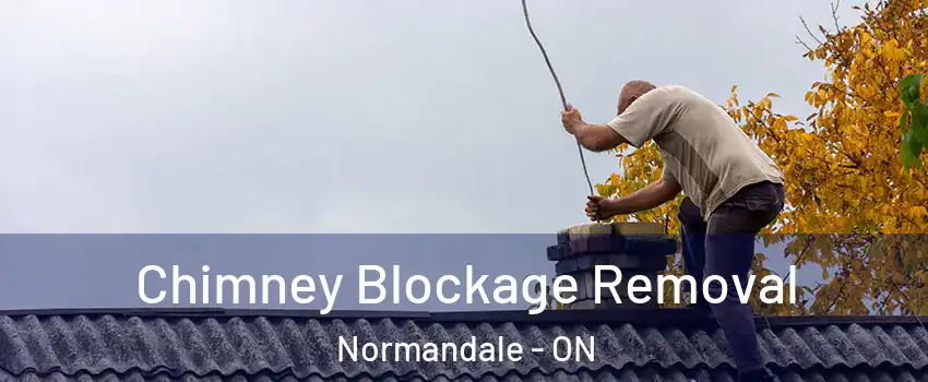  Chimney Blockage Removal Normandale - ON