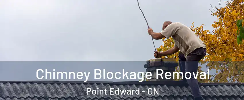  Chimney Blockage Removal Point Edward - ON