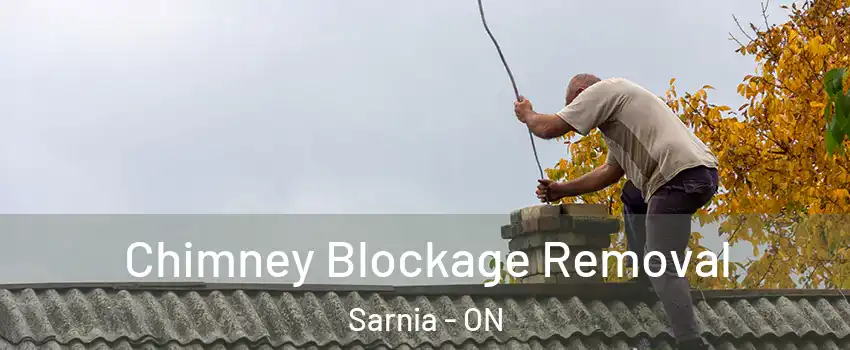  Chimney Blockage Removal Sarnia - ON