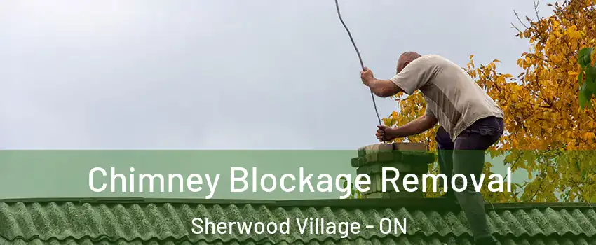  Chimney Blockage Removal Sherwood Village - ON