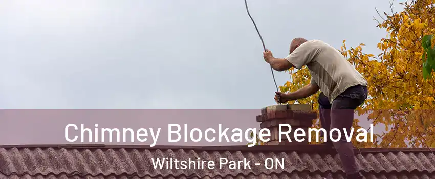  Chimney Blockage Removal Wiltshire Park - ON