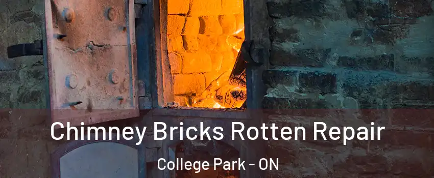  Chimney Bricks Rotten Repair College Park - ON