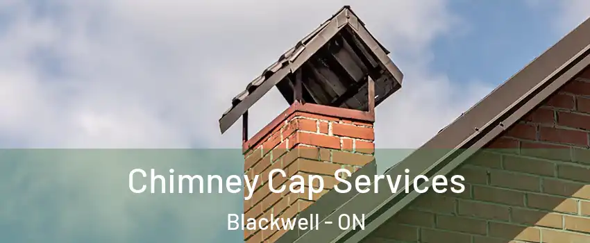  Chimney Cap Services Blackwell - ON