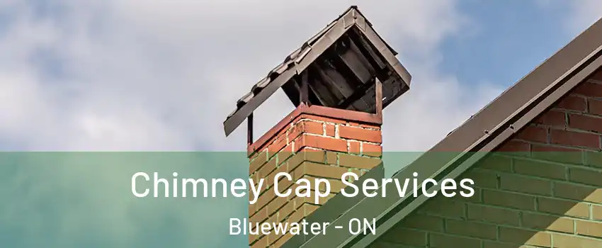  Chimney Cap Services Bluewater - ON