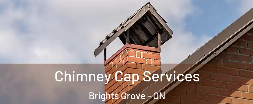  Chimney Cap Services Brights Grove - ON
