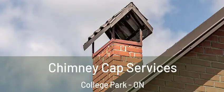  Chimney Cap Services College Park - ON