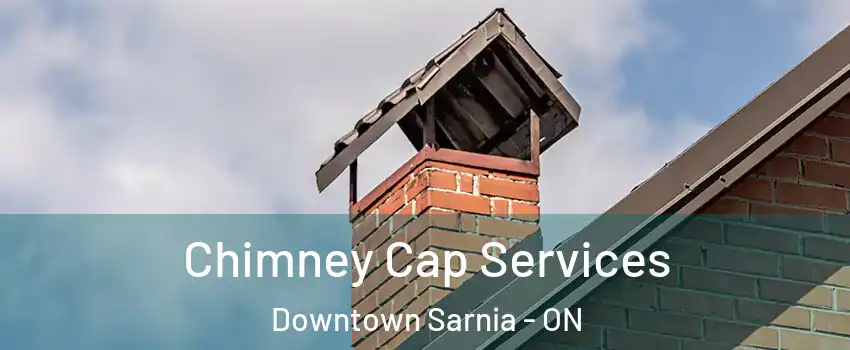  Chimney Cap Services Downtown Sarnia - ON