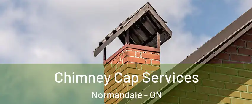  Chimney Cap Services Normandale - ON