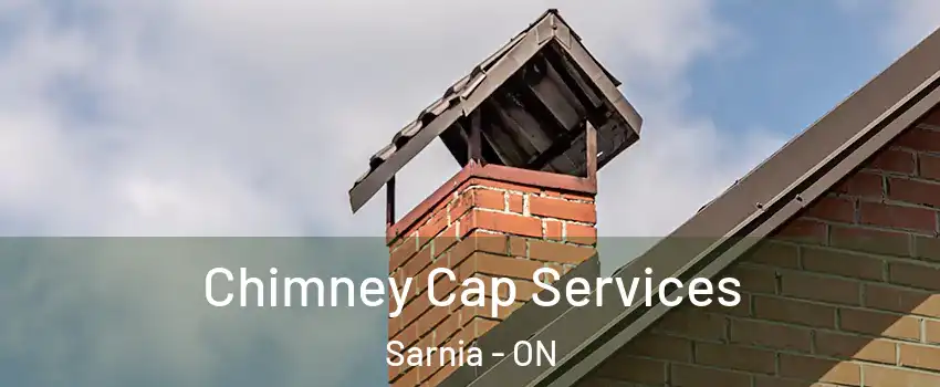  Chimney Cap Services Sarnia - ON