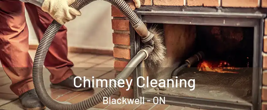  Chimney Cleaning Blackwell - ON