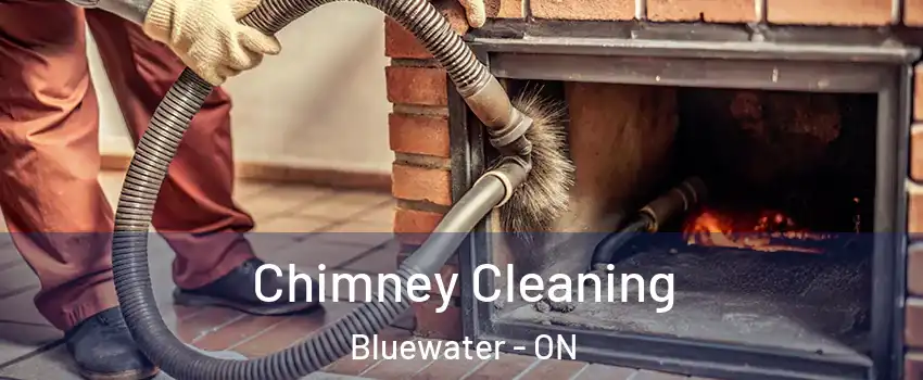  Chimney Cleaning Bluewater - ON