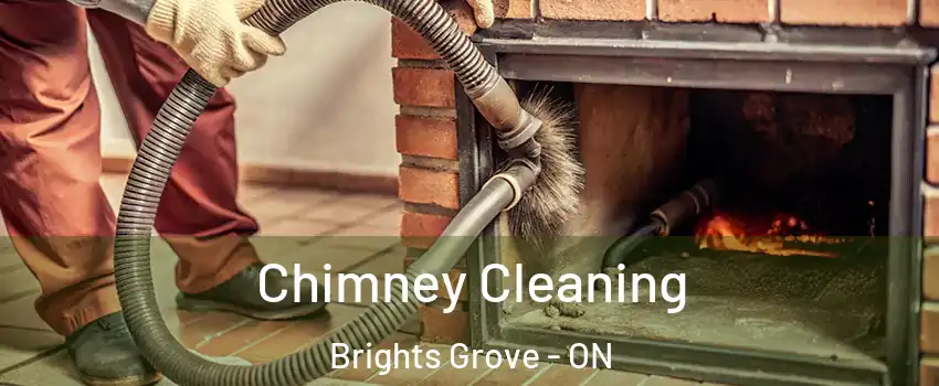  Chimney Cleaning Brights Grove - ON