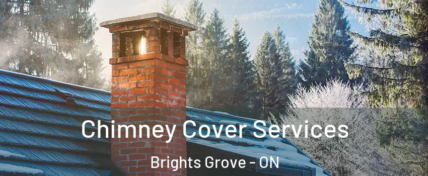 Chimney Cover Services Brights Grove - ON