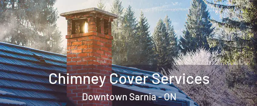  Chimney Cover Services Downtown Sarnia - ON