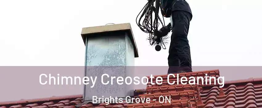  Chimney Creosote Cleaning Brights Grove - ON