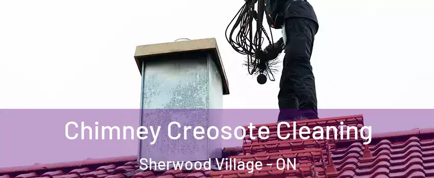  Chimney Creosote Cleaning Sherwood Village - ON