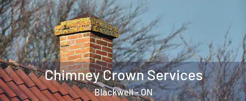  Chimney Crown Services Blackwell - ON