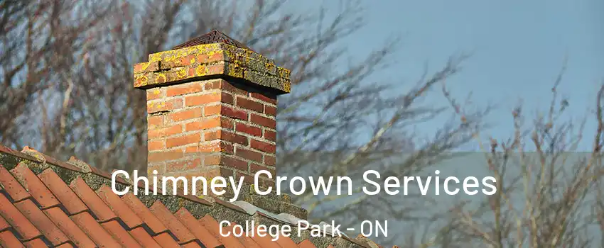  Chimney Crown Services College Park - ON