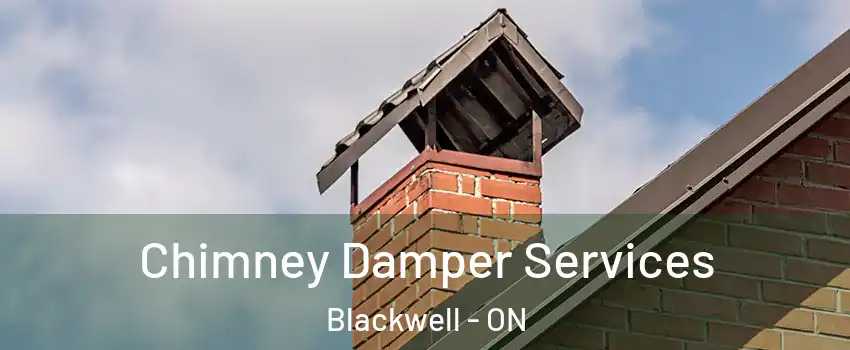  Chimney Damper Services Blackwell - ON