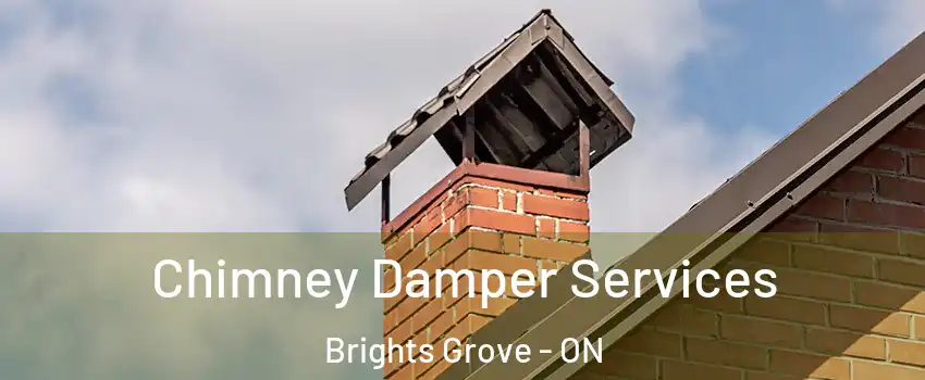  Chimney Damper Services Brights Grove - ON