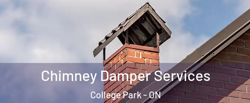  Chimney Damper Services College Park - ON