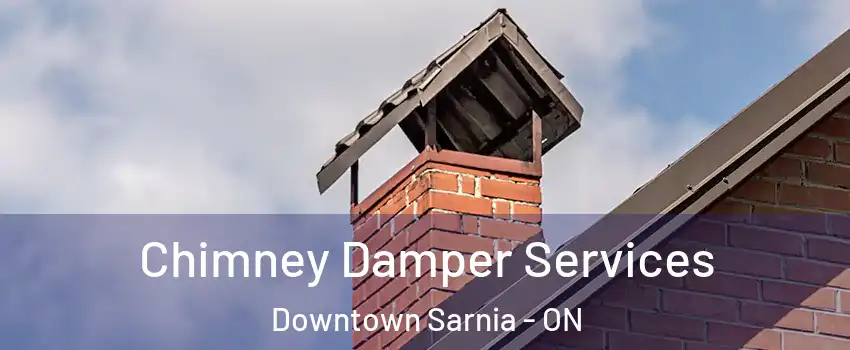  Chimney Damper Services Downtown Sarnia - ON