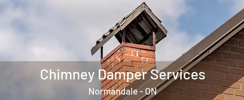  Chimney Damper Services Normandale - ON