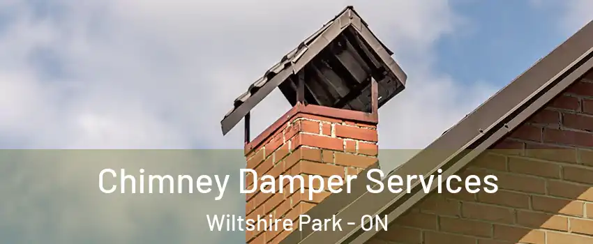  Chimney Damper Services Wiltshire Park - ON