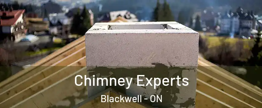  Chimney Experts Blackwell - ON