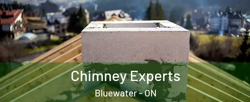 Chimney Experts Bluewater - ON
